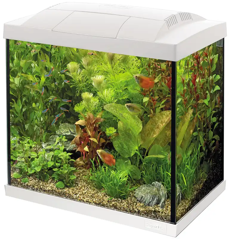 Direct Verzonden SuperFish aquarium Start 30 Tropical kit wit