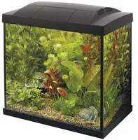 SuperFish aquarium Start 30 Tropical kit zwart Beste Prijs