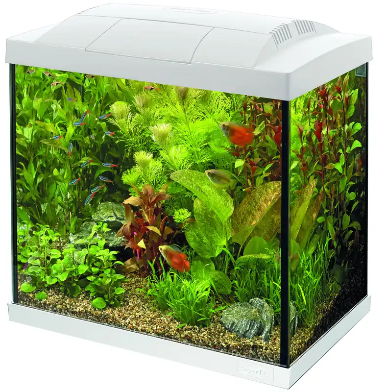 Goedkoop SuperFish aquarium Start 50 Tropical kit wit