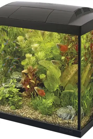 SuperFish aquarium Start 50 Tropical kit zwart Hete Deal