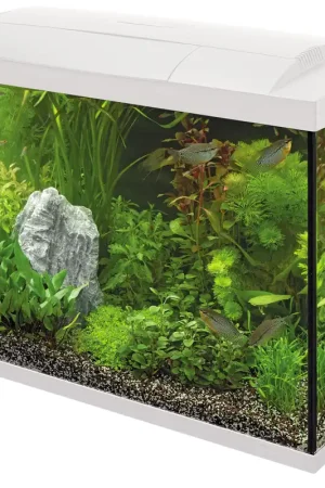 Merkproduct SuperFish aquarium Start 70 Tropical kit wit