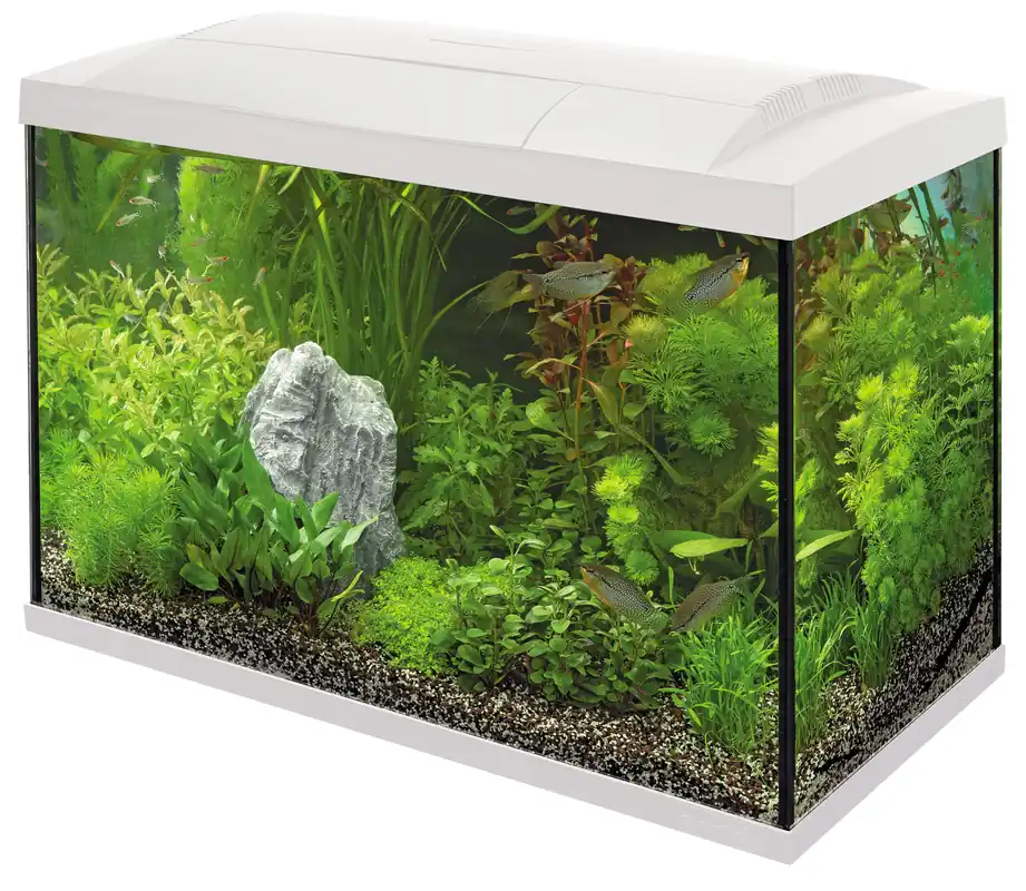 Merkproduct SuperFish aquarium Start 70 Tropical kit wit