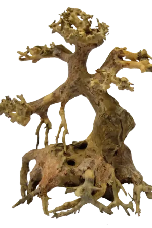 Koop Vandaag SuperFish Bonsai Driftwood aquariumdecoratie XS