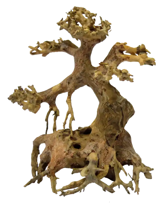 Koop Vandaag SuperFish Bonsai Driftwood aquariumdecoratie XS