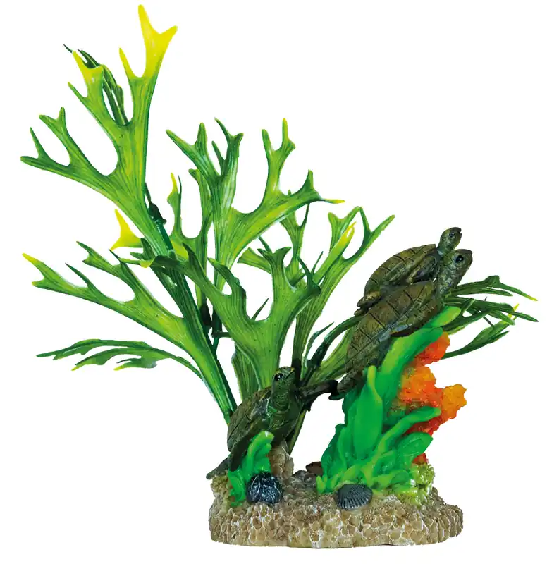 SuperFish Deco Garden Turtle Beste Prijs