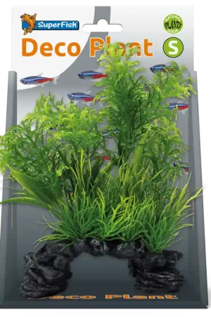 SuperFish Deco Plant Ambulia S Gratis Retour