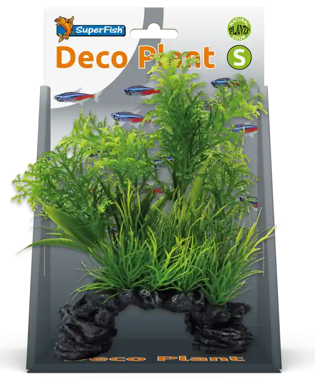 SuperFish Deco Plant Ambulia S Gratis Retour