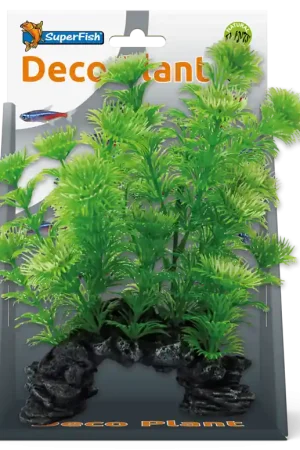 SuperFish Deco Plant Cabomba S Bestseller