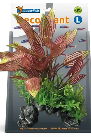 SuperFish Deco Plant Henkelianus L Uitverkoop