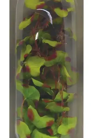 SuperFish Easy Plants hoog 30 cm nr. 13 zijde Finale Uitverkoop