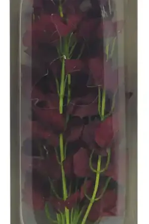 Korting SuperFish Easy Plants hoog 30 cm nr. 17 zijde