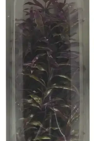 Aanbieding SuperFish Easy Plants hoog 30 cm nr. 3