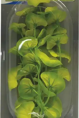SuperFish Easy Plants middel 20 cm nr. 10 zijde Direct Verzonden