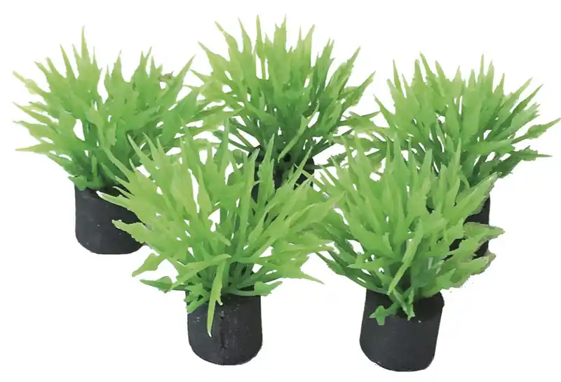 Hete Deal SuperFish Easy Plants Nano plug 2 cm 5 st