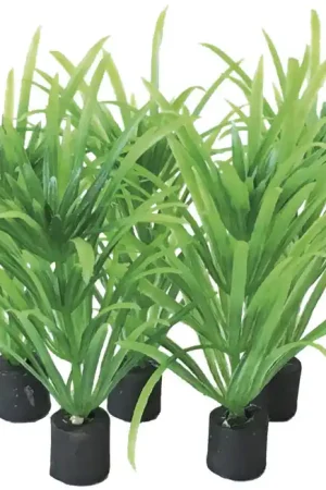 SuperFish Easy Plants Nano plug 5 cm 5 st Flitsaanbieding
