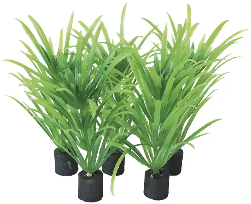 SuperFish Easy Plants Nano plug 5 cm 5 st Flitsaanbieding