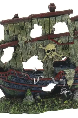 SuperFish scheepswrak M Koop Online