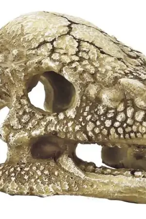 SuperFish Skull T-Rex M Direct Beschikbaar