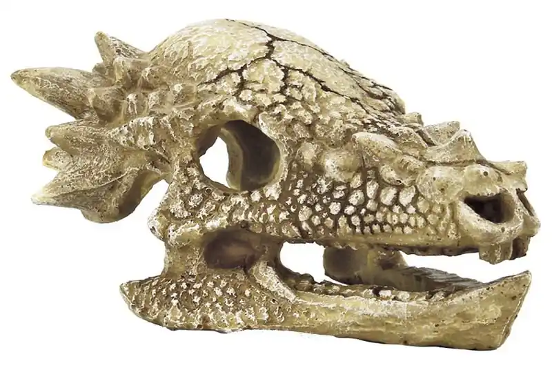 SuperFish Skull T-Rex M Direct Beschikbaar