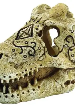Exclusieve Aanbieding SuperFish Skull T-Rex S