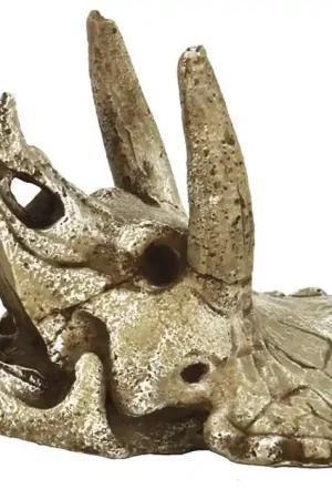 Finale Uitverkoop SuperFish Skull Triceratops M