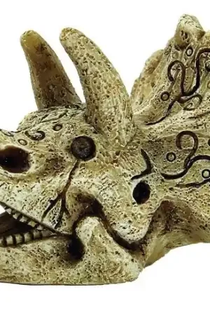 SuperFish Skull Triceratops S Tijdelijk Beschikbaar