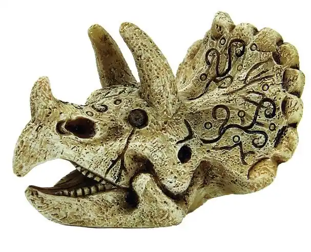 SuperFish Skull Triceratops S Tijdelijk Beschikbaar