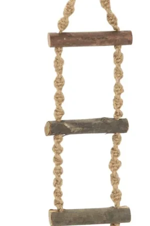 Koop Vandaag Beeztees Schommel Ladder Hinto 36 cm
