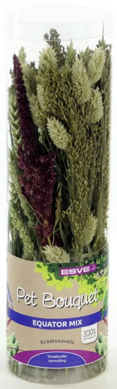 ESVE Pet Bouquet Equator Lage Kosten
