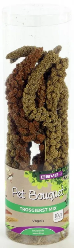 Bestseller ESVE Pet Bouquet Trosgierst