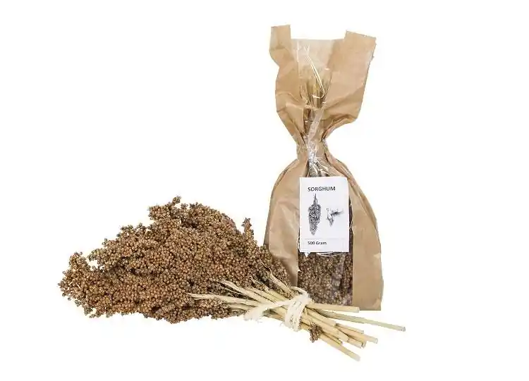 Exclusieve Aanbieding Sorghum