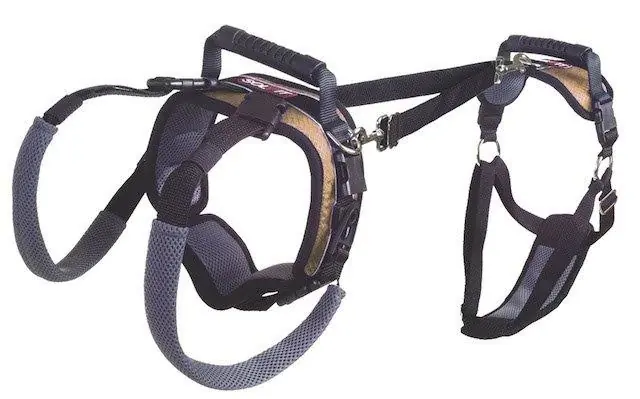 Veilige Betaling Petsafe Support Harness Carelift