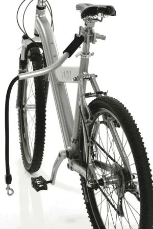 Veilige Betaling Cycleash Fietsbeugel