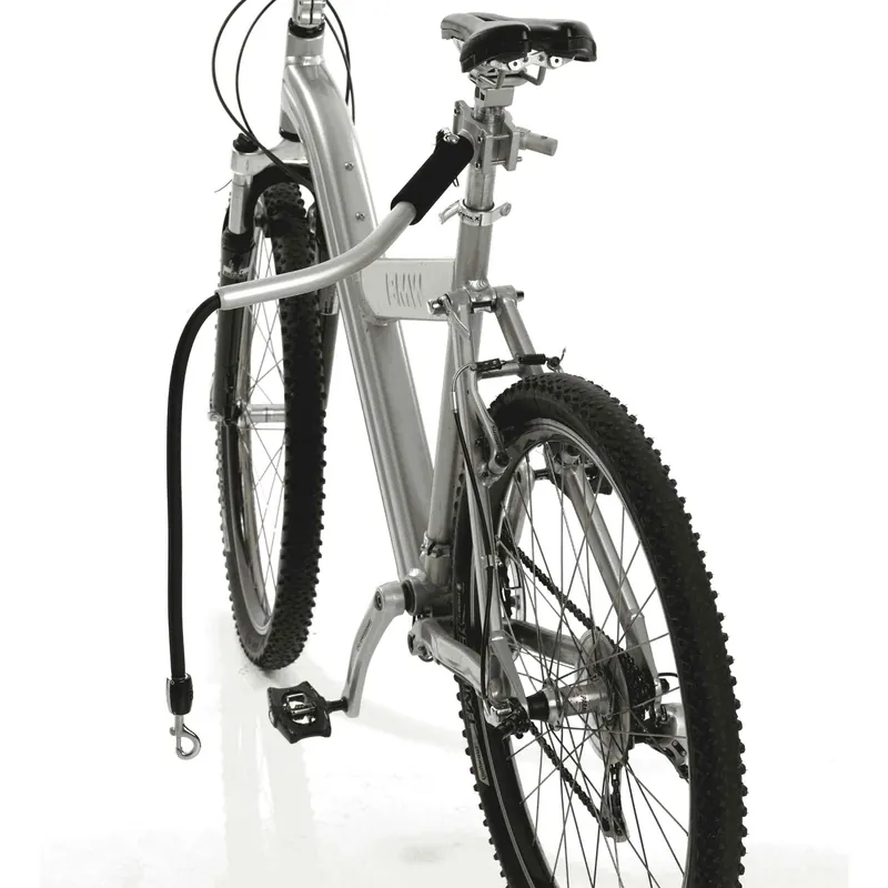 Veilige Betaling Cycleash Fietsbeugel