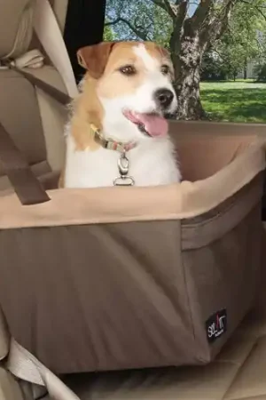 Beperkt Aanbod Petsafe Happy Ride Booster Seat Autostoel