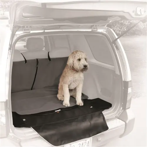 Kurgo cargo Cape autohoes Seizoensaanbieding