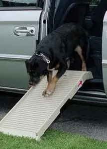 Voordeelprijs Dogstep Halfstep hondenloopplank