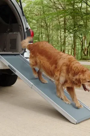 Telescoping dog ramp Hete Deal