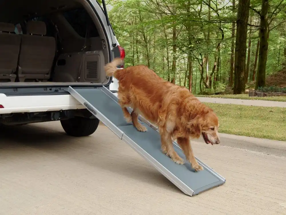 Telescoping dog ramp Hete Deal