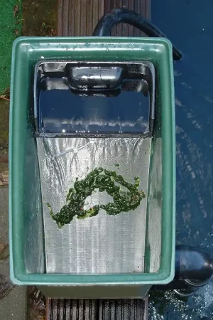 MidiSieve Los Zeefelement voor de Compactsieve en Midi Sieve Superprijs