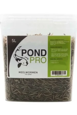 Pond Pro Meelwormen Gedroogd 5 liter
Eiwitrijke snack voor koi en vijvervissen Beperkt Aanbod