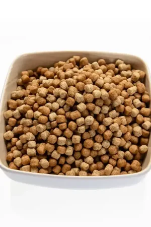 Weekendaanbieding Vivani Multi Season 6 mm 15 kg
basisvoer voor koi en vijvervissen