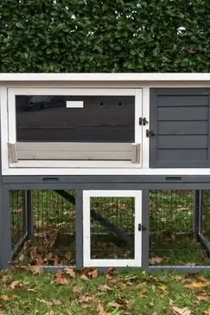 Koopje Konijnenhok Lexie XL Premium