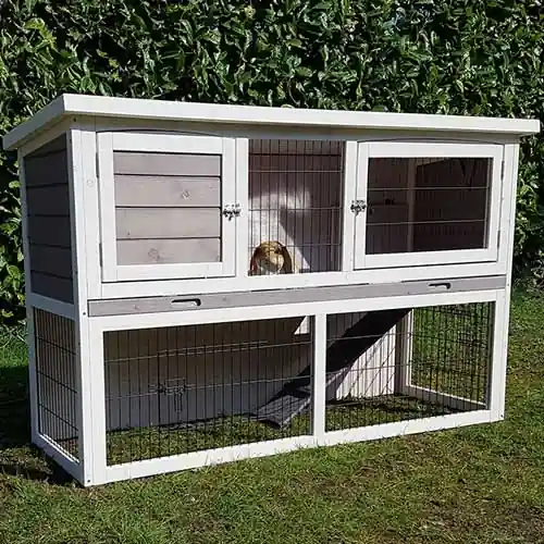 Koop Online Konijnenhok Bella
