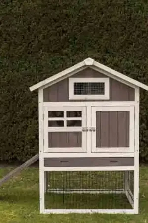 Aanbieding Konijnenhok Amalie