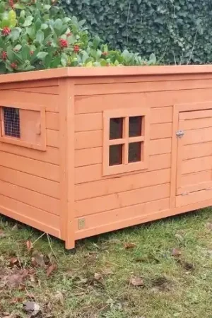 Konijnenhok Vlaamse reus Bruin Speciale Aanbieding