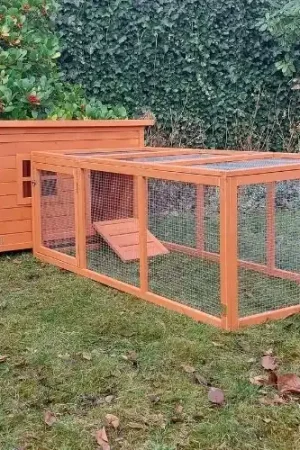 Konijnenhok Vlaamse reus Bruin met ren Beperkte Voorraad