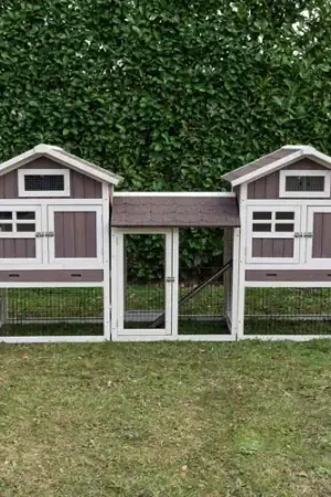 Konijnenhok Amalie Duo met ren Op = Op