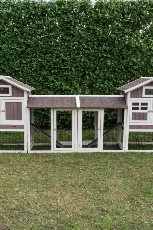 Konijnenhok Amalie Duo Met Dubbele Ren Korting