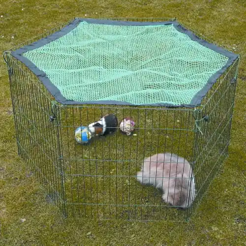Voordeelverpakking 3x Konijnenren Skippy 6 Delig Speciale Aanbieding